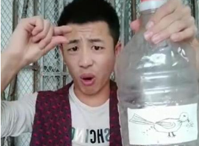 小鸟伏特加