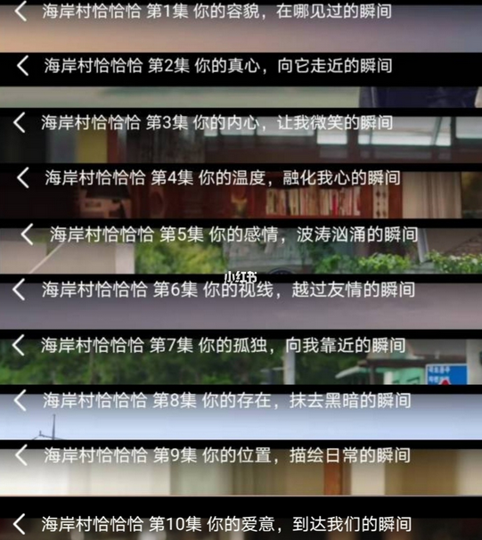 海岸村恰恰恰每集名字